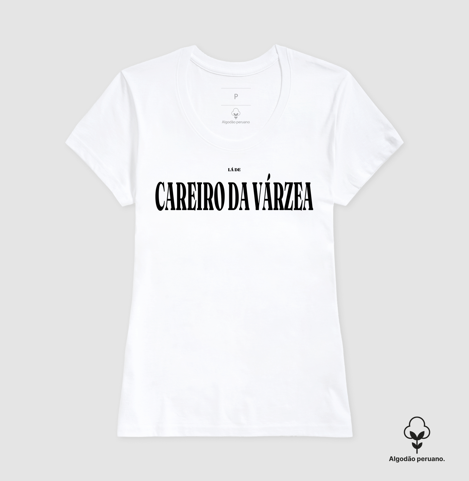 Careiro da Várzea | Tipografia AM - Imagem 7