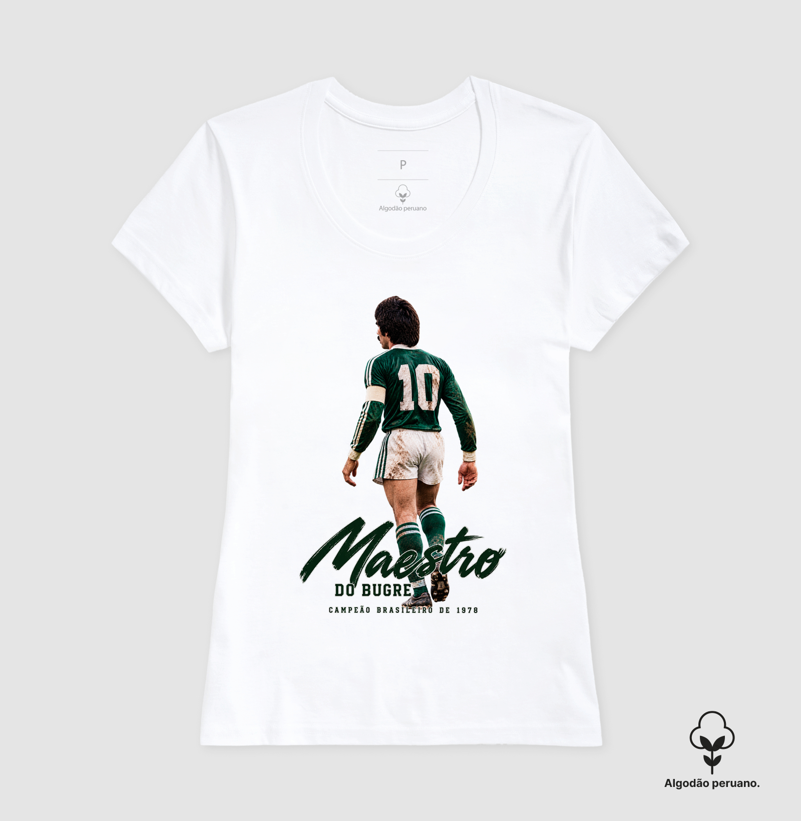 MAESTRO DO BUGRE - Imagem 8