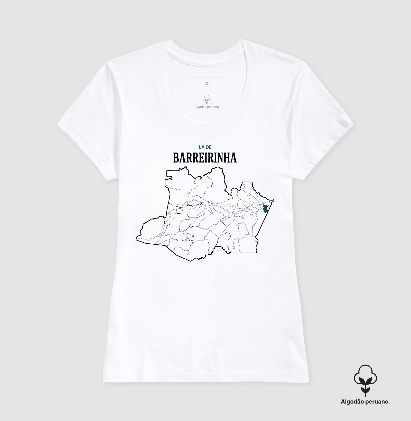 Barreirinha | Território AM - Imagem 4