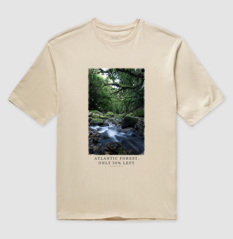 Atlantic Forest - Imagem 2