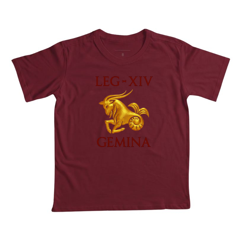 LEGIO — XIV Gemina - Imagem 3