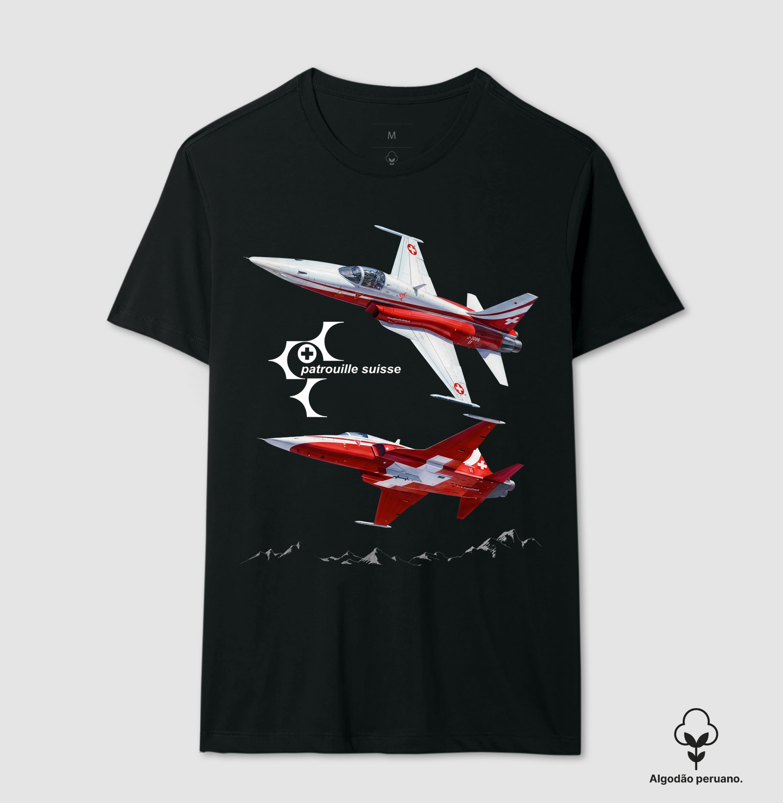 F-5 Patruille Suisse - Imagem 5