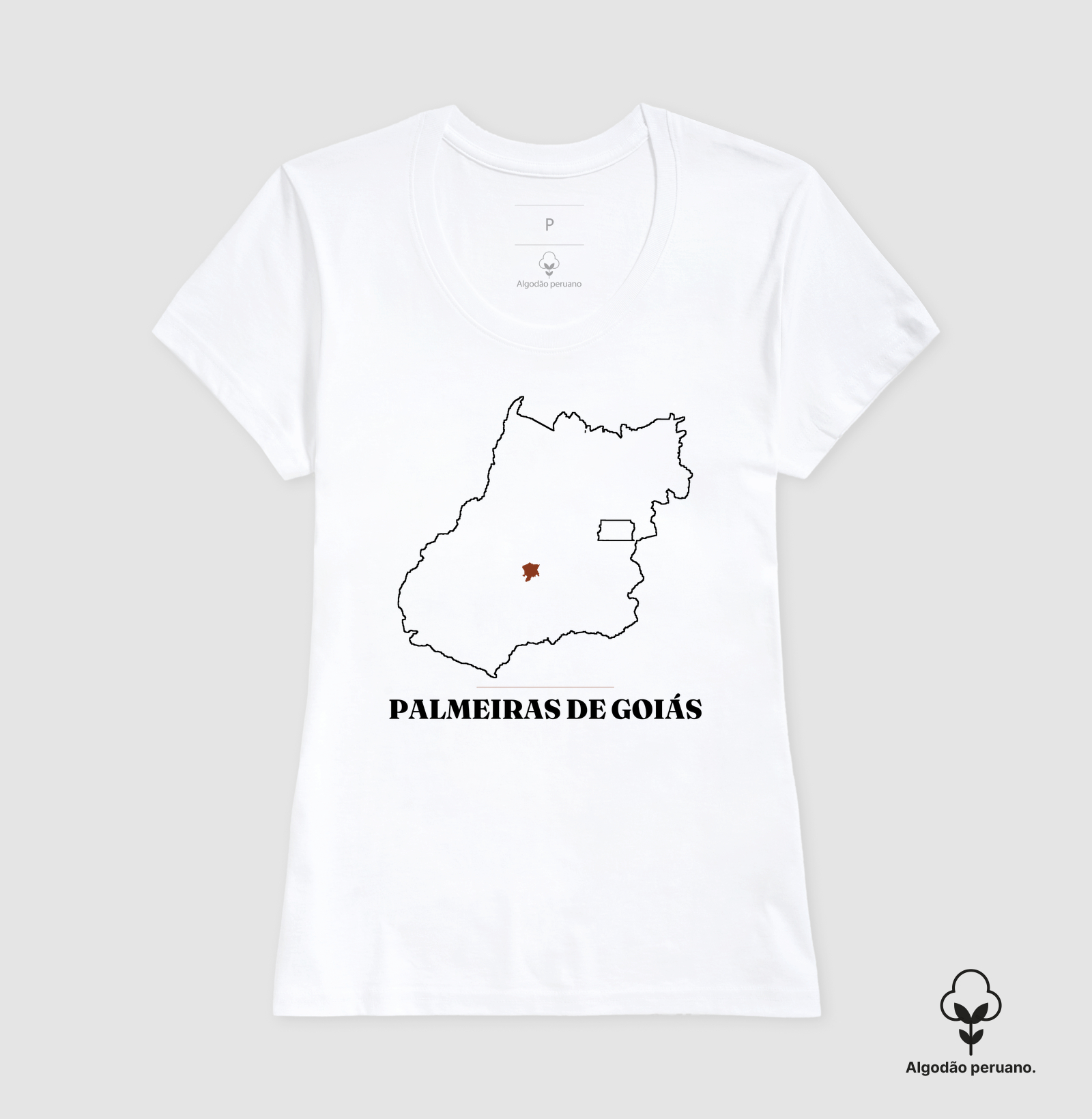 Palmeiras de Goiás | Traço GO - Imagem 6