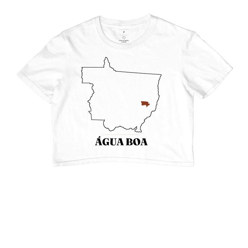 Água Boa | Traço MT - Imagem 3