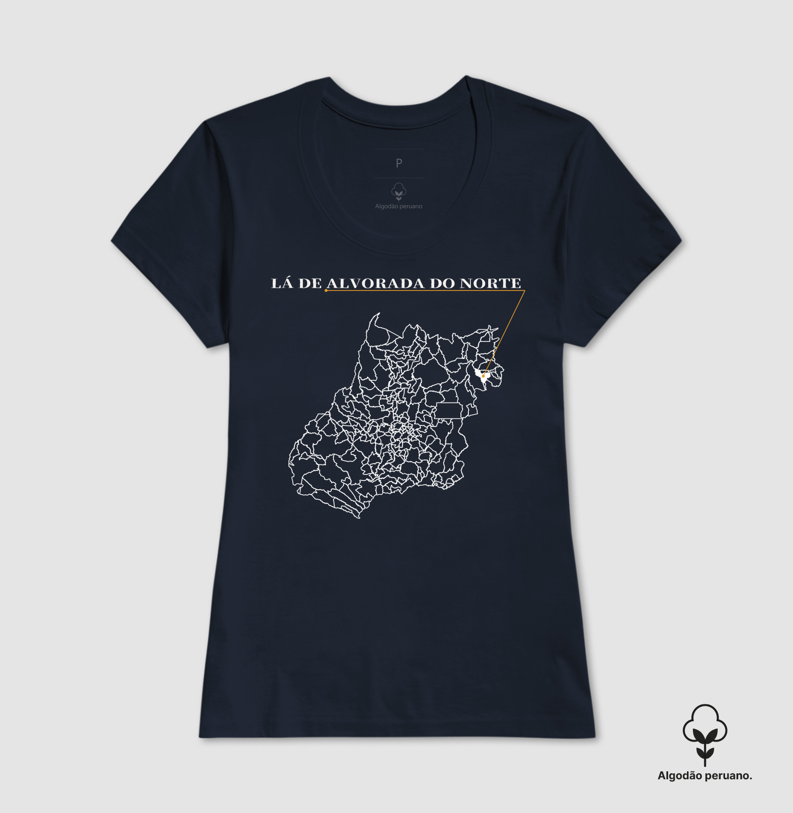 Alvorada do Norte | Origem GO - Imagem 3