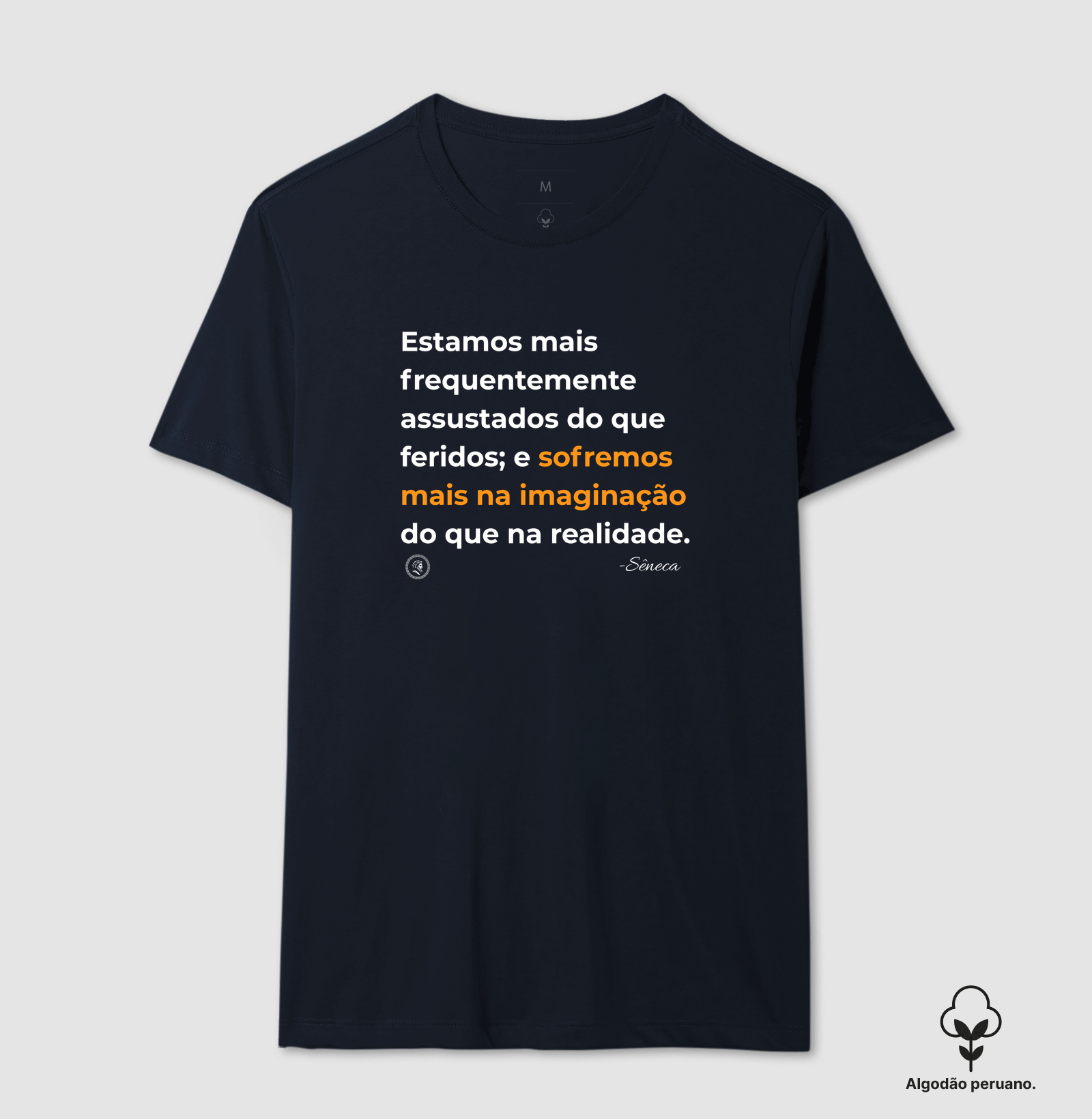 Filosofia Estoicismo de Sêneca "Sofremos mais na imaginação" - Imagem 4