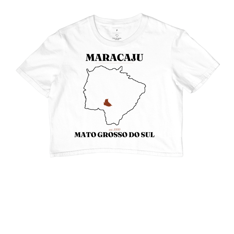 Maracaju | Legado MS - Imagem 3