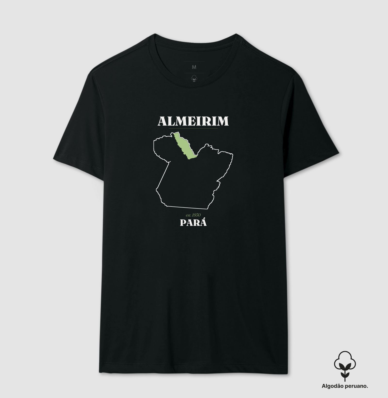 Almeirim | Legado PA - Imagem 2