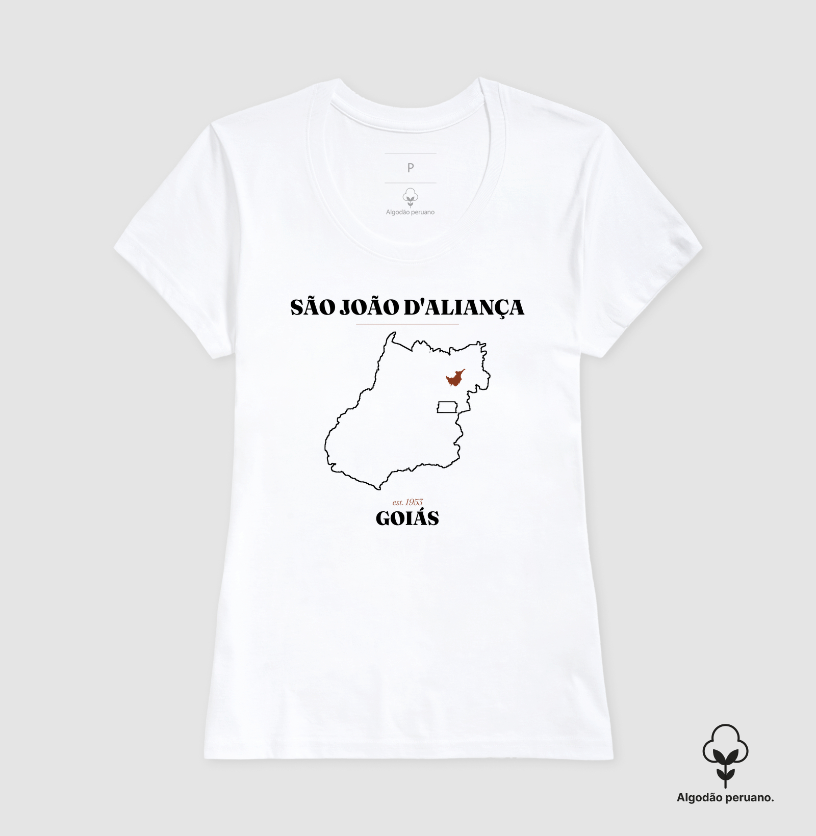 São João d'Aliança | Legado GO - Imagem 3