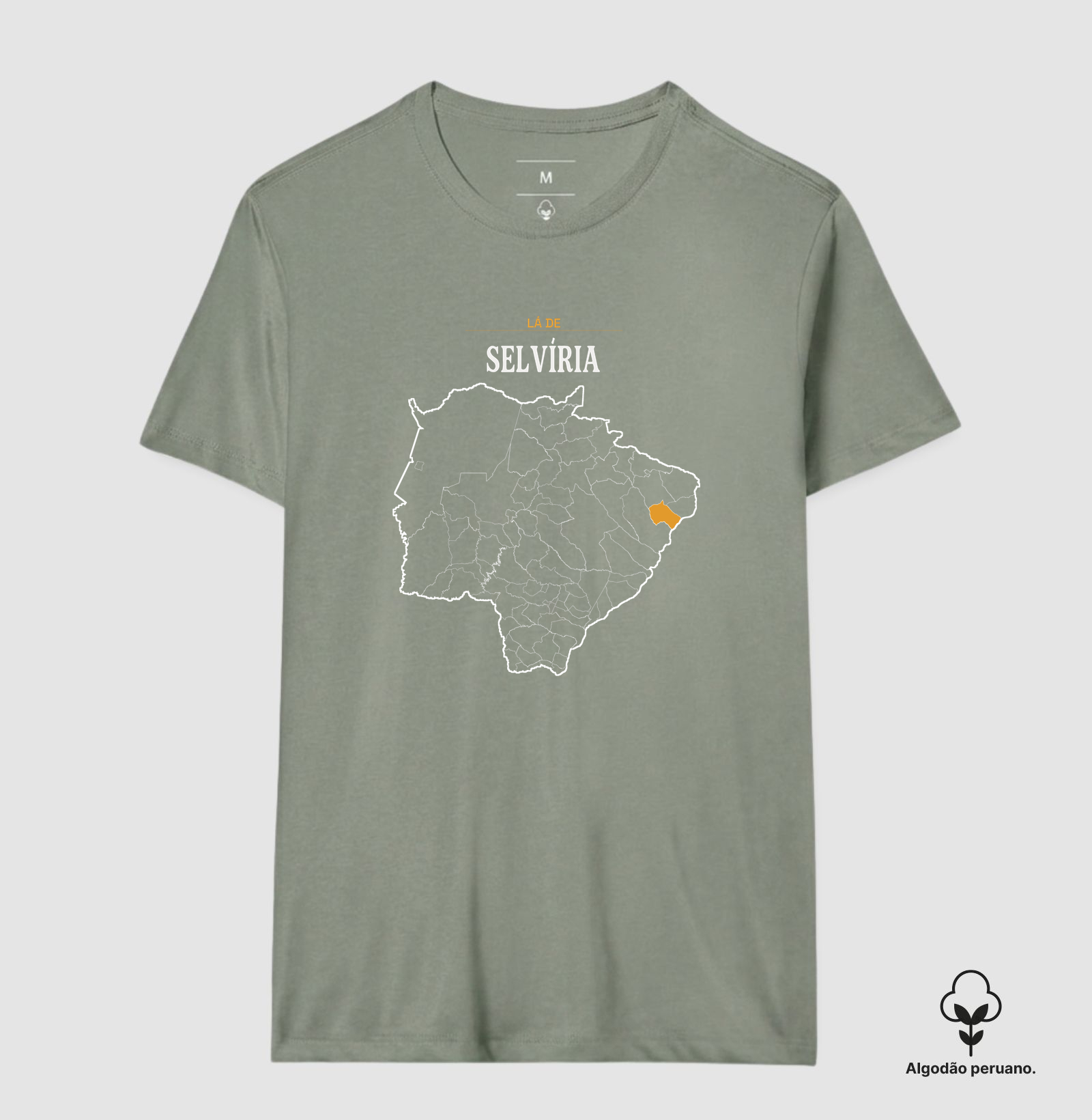 Selvíria | Território MS - Imagem 4