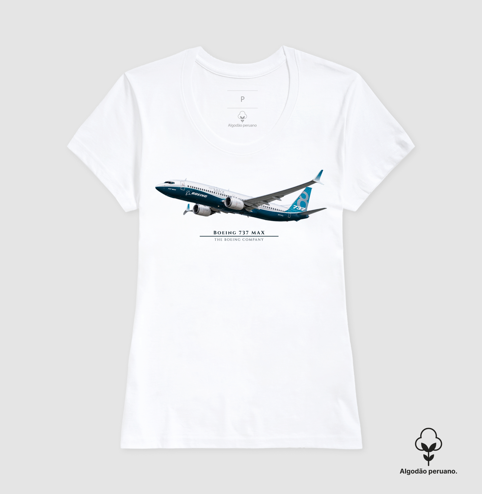 Boeing 737 MAX - Imagem 4