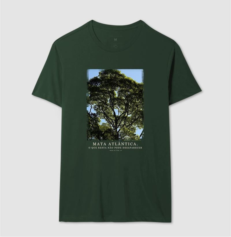 Mata Atlântica - Imagem 6
