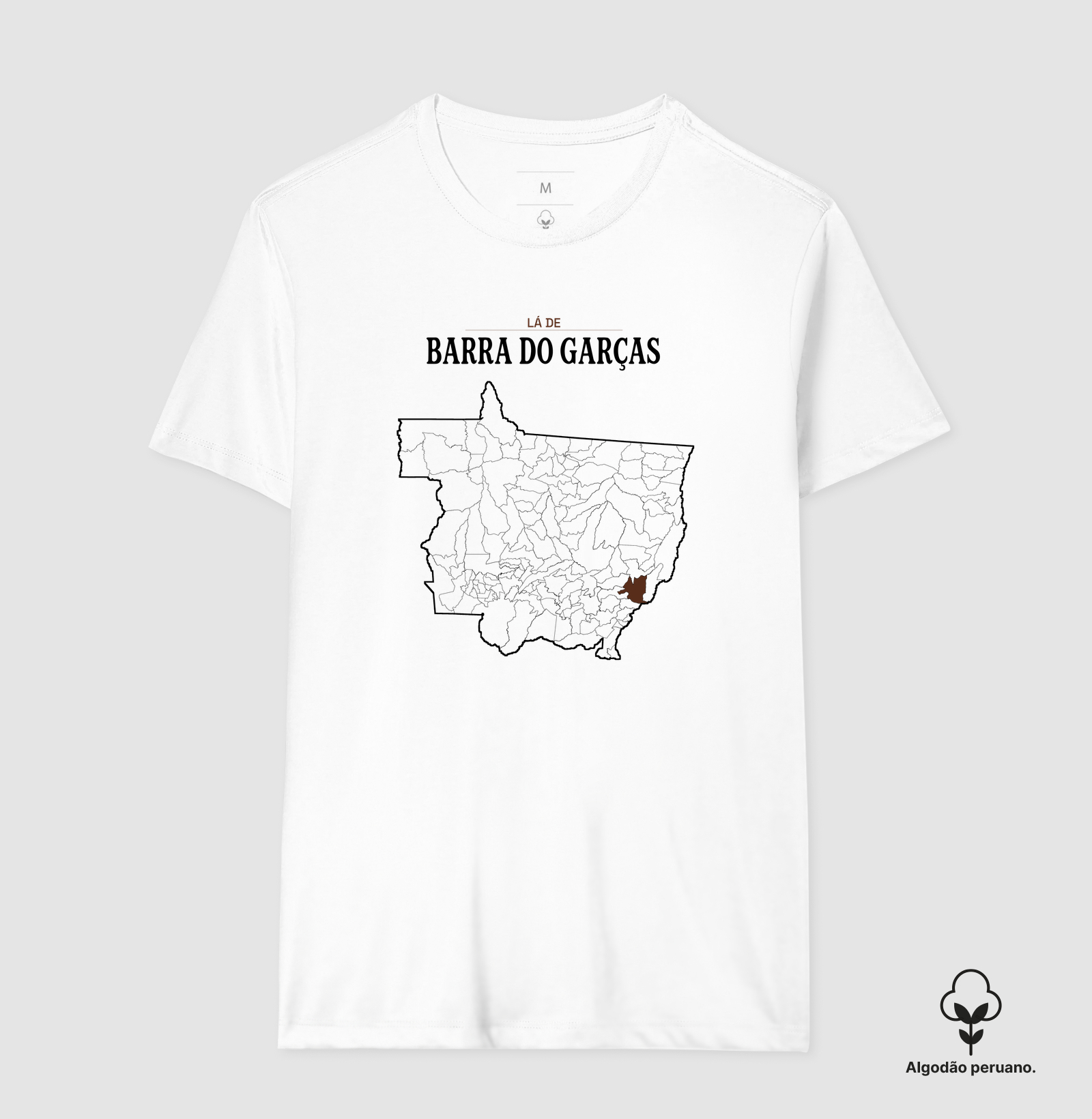 Barra do Garças | Território MT - Imagem 2