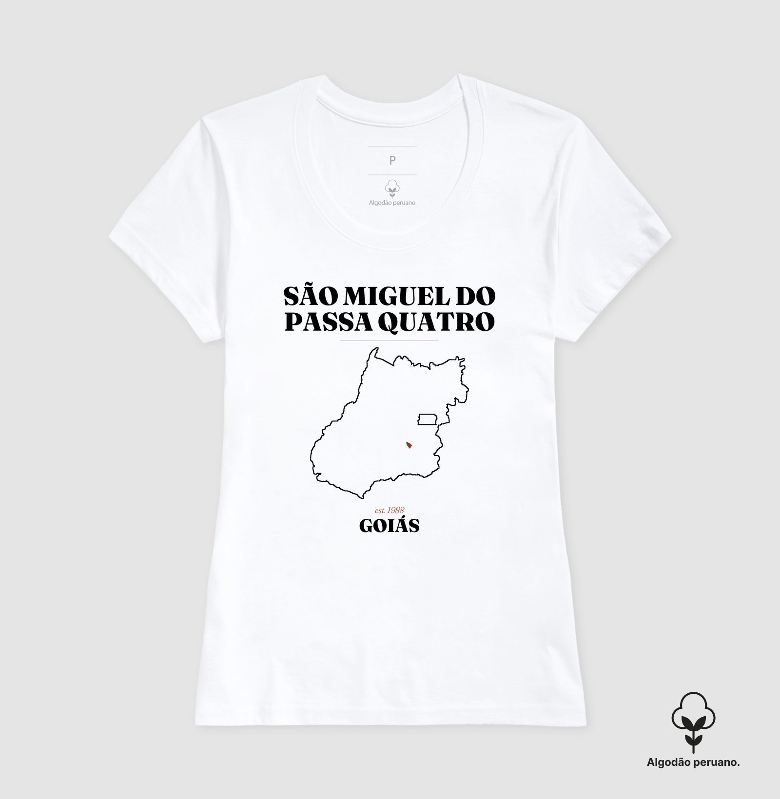 São Miguel do Passa Quatro | Legado GO - Imagem 2