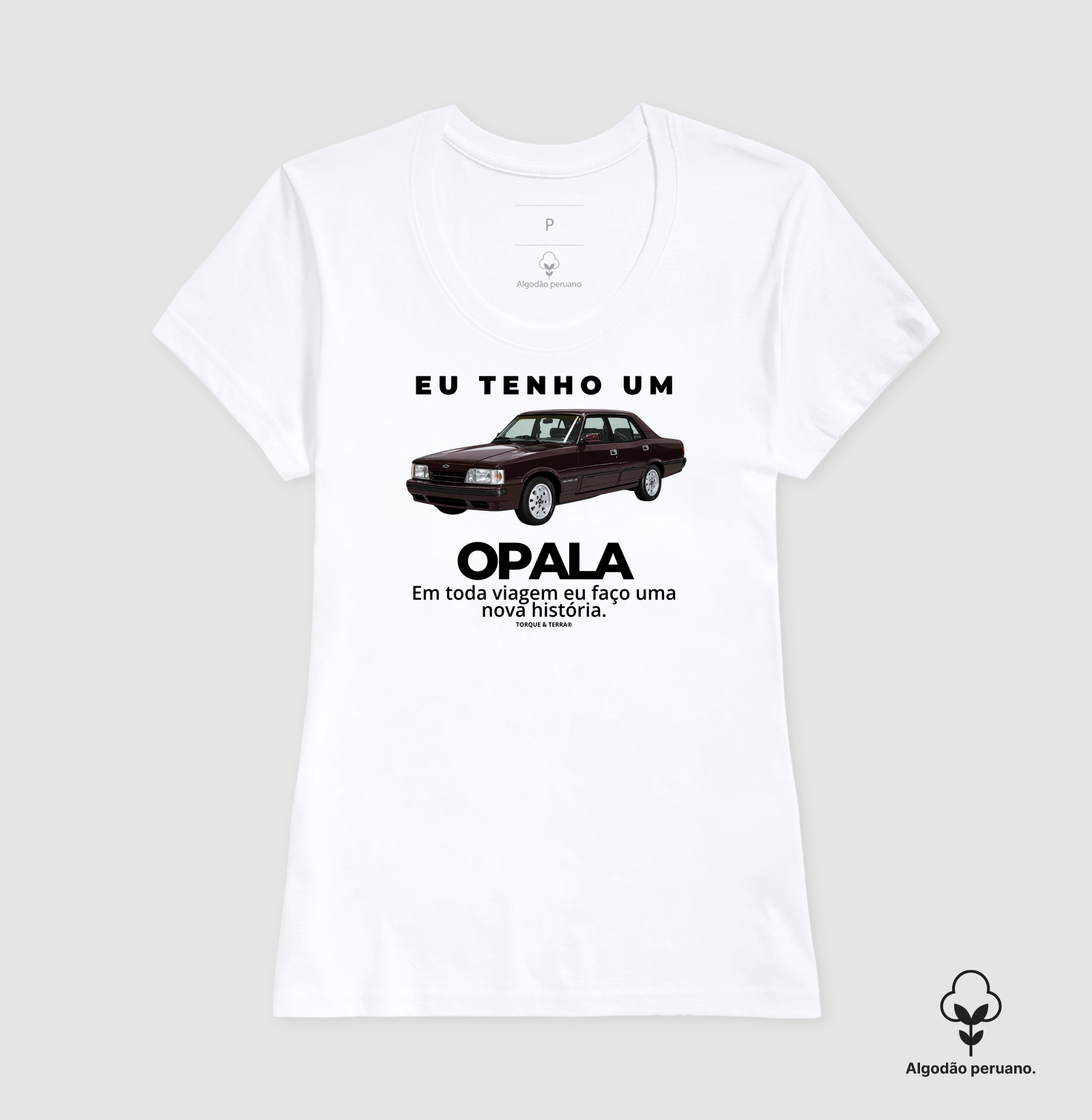Eu tenho um Opala Diplomata vinho - Imagem 5