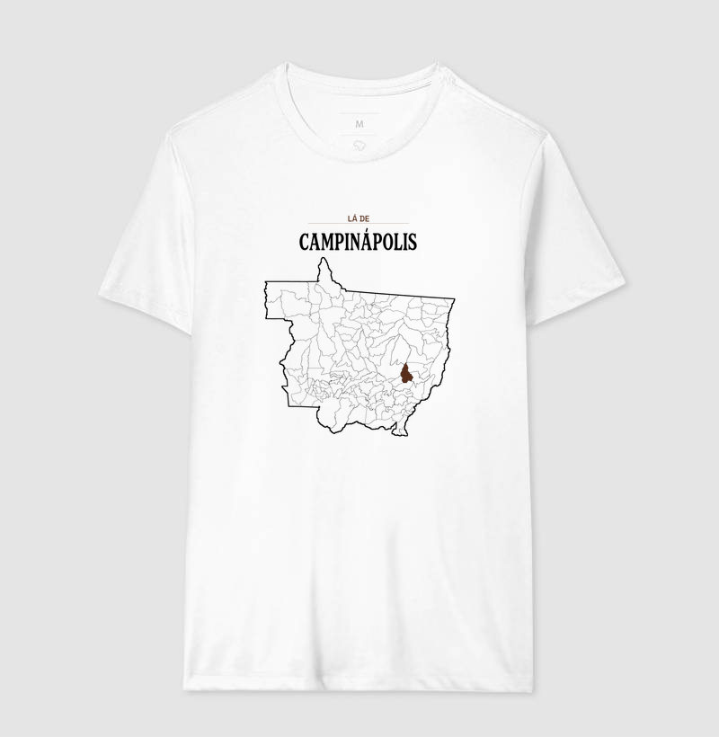 Campinápolis | Território MT - Imagem 4