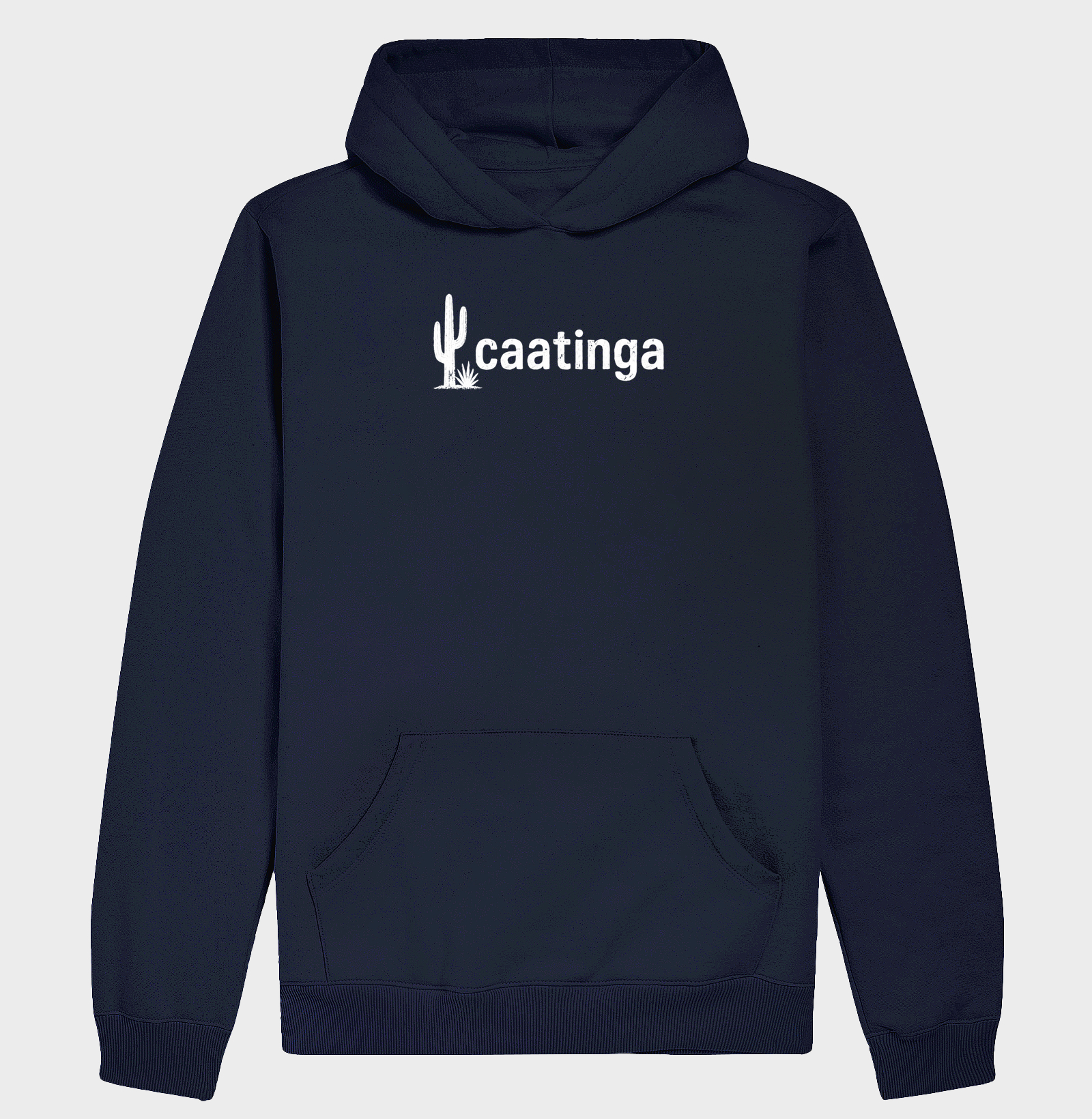 Caatinga - Imagem 4