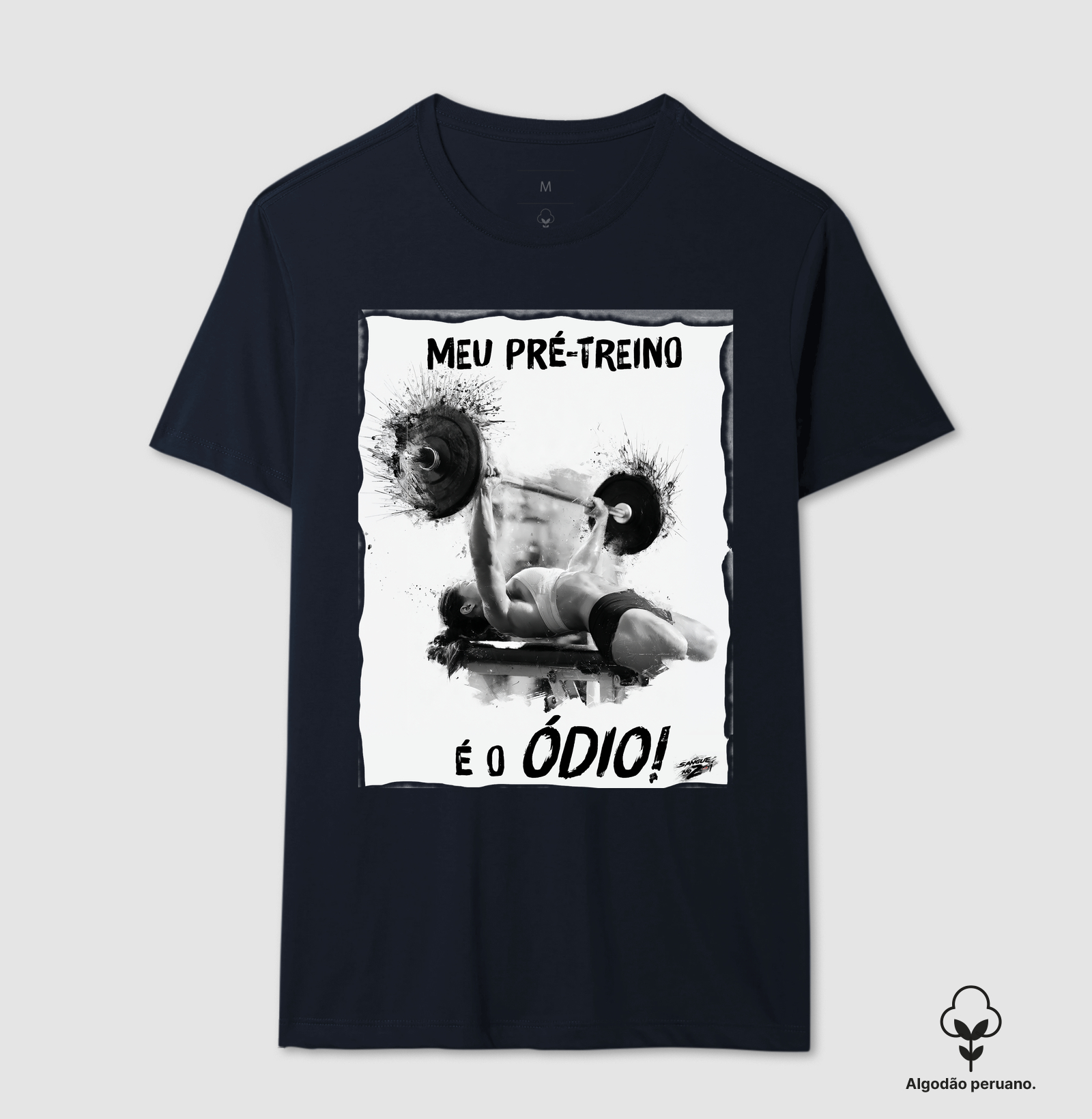 "MEU PRÉ-TREINO É O ÓDIO!". 03 - Imagem 6