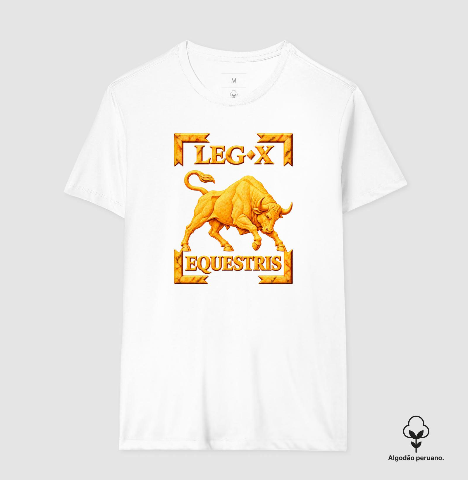 LEGIO — X Equestris - III - Imagem 2