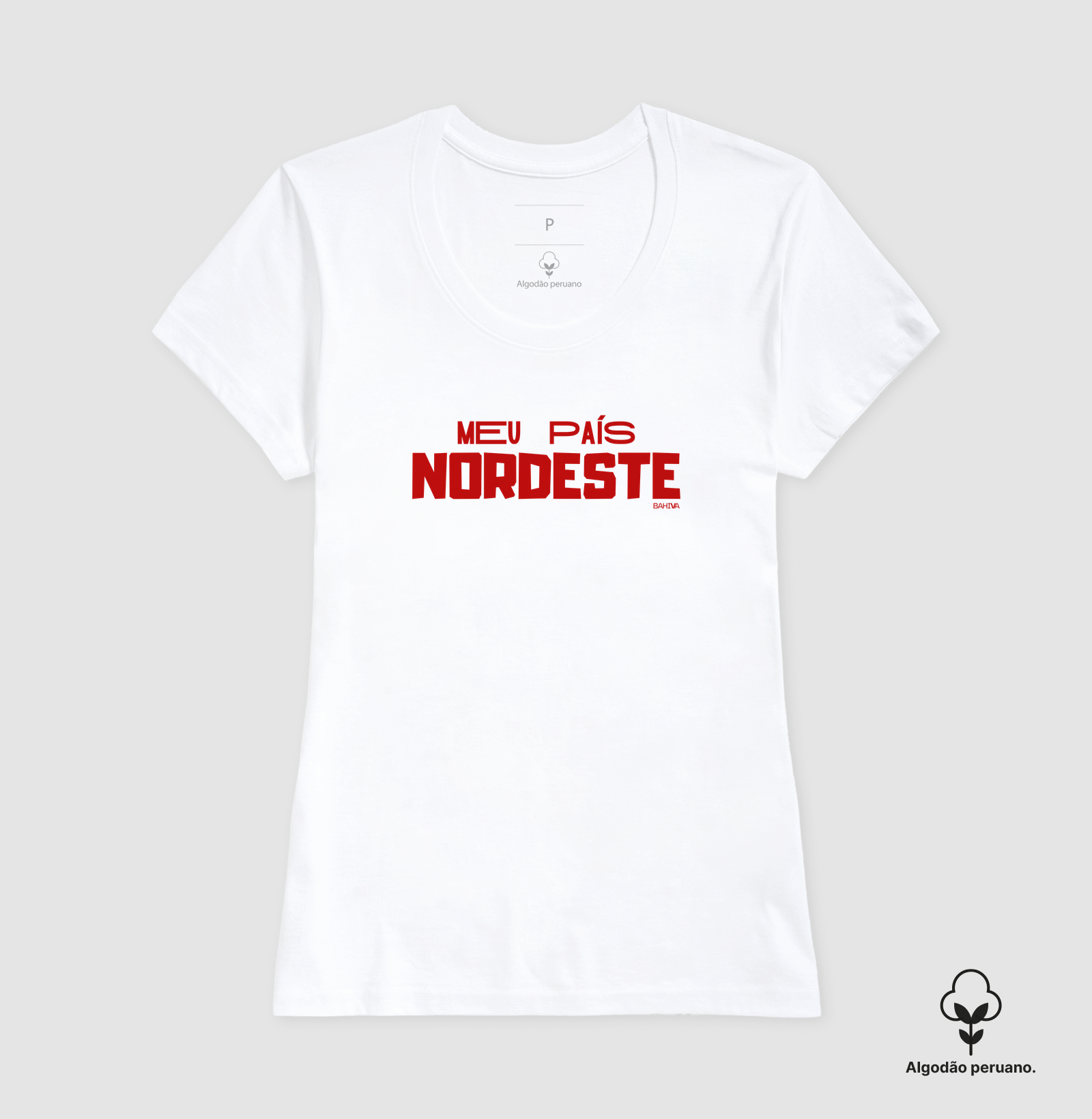 Meu país Nordeste - Imagem 3