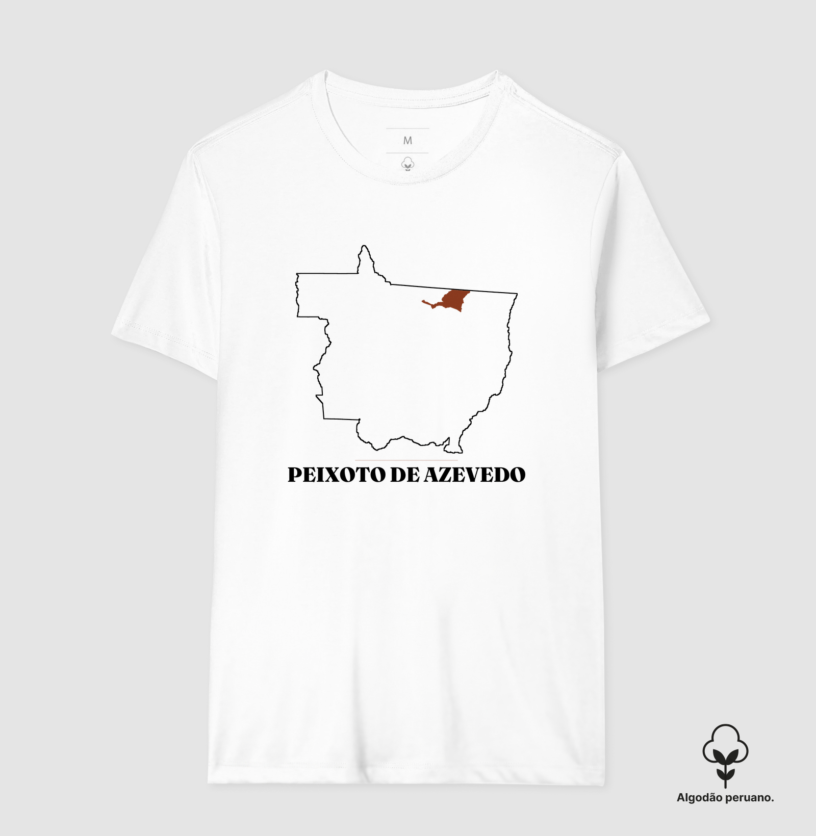 Peixoto de Azevedo | Traço MT - Imagem 5