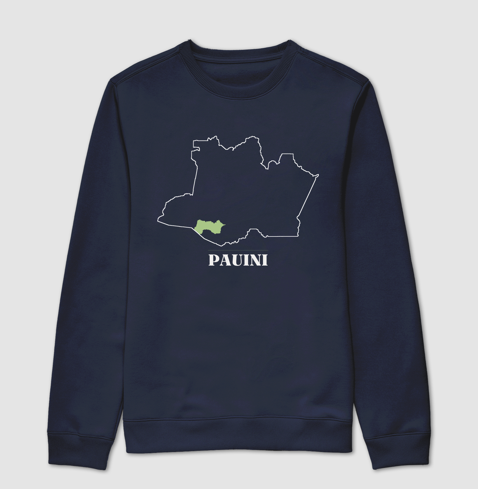 Pauini | Traço AM - Imagem 5