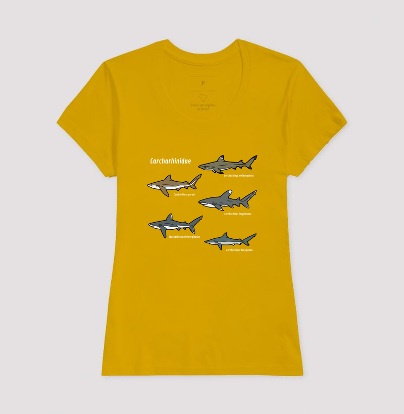Carcharhinidae - Imagem 18