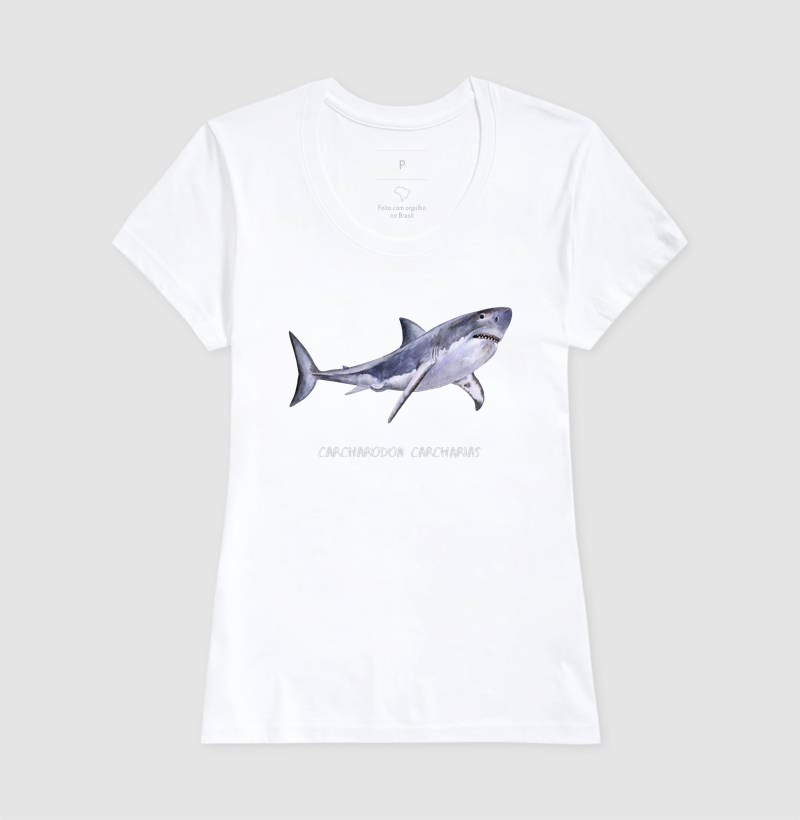 Carcharodon carcharias - Imagem 7