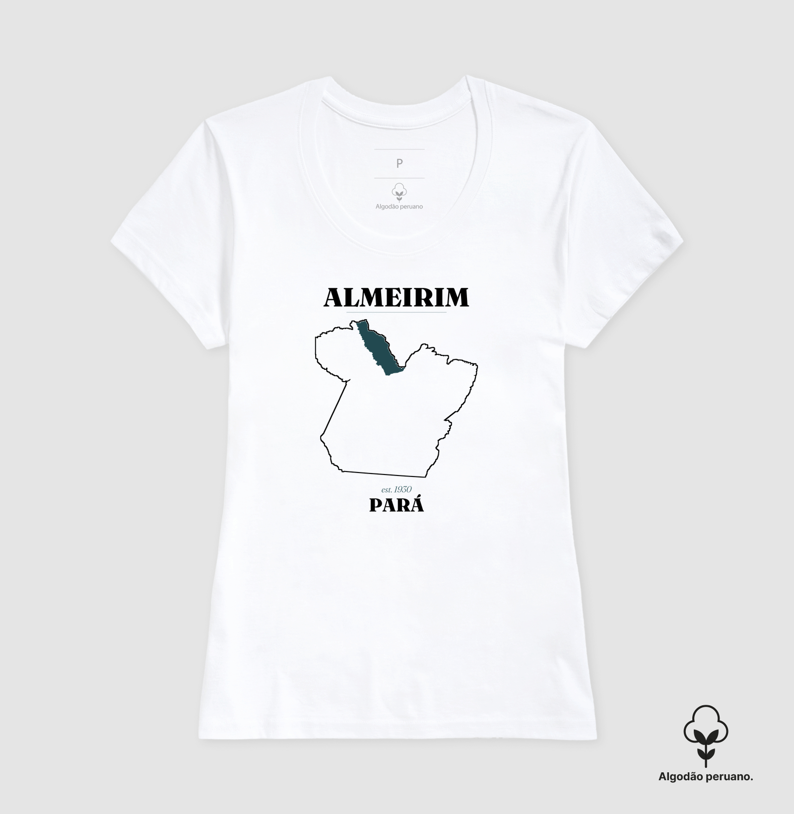 Almeirim | Legado PA - Imagem 9
