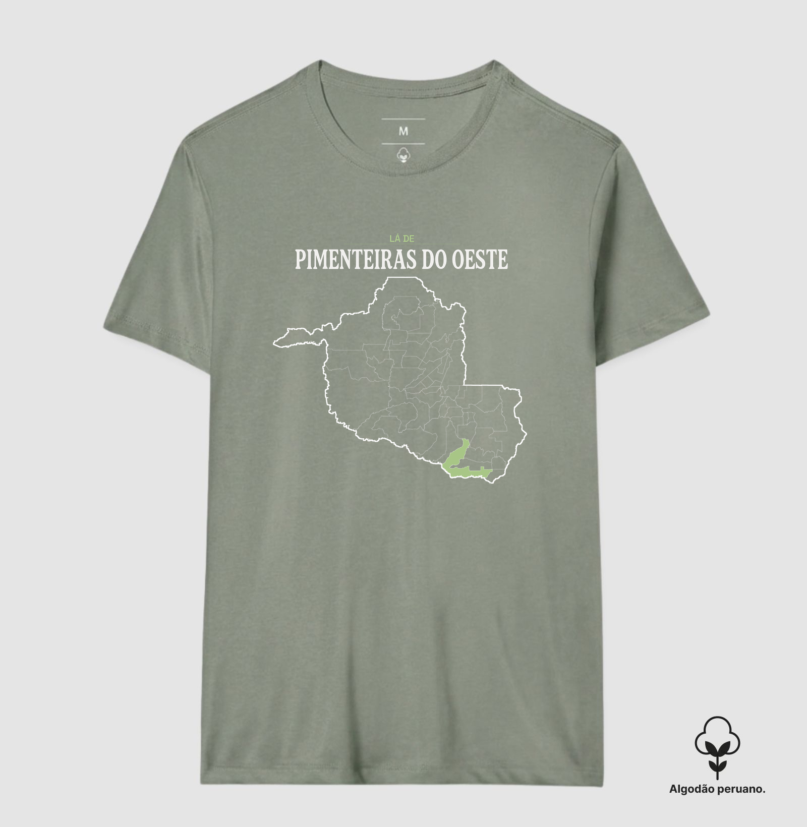 Pimenteiras do Oeste | Território RO - Imagem 4