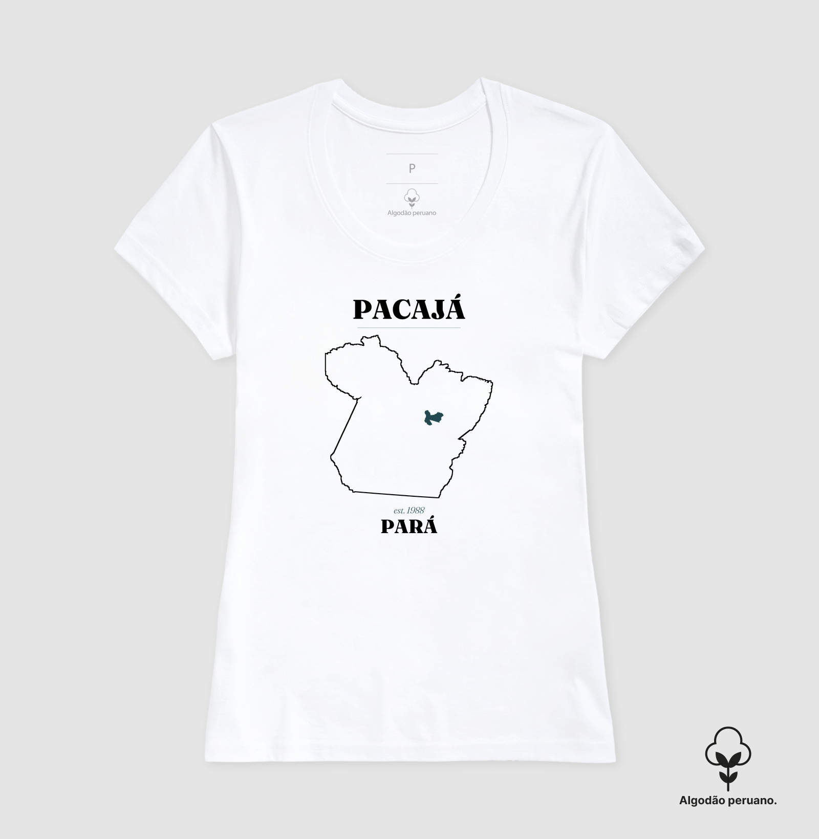 Pacajá | Legado PA - Imagem 2