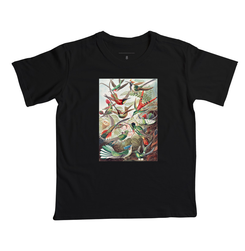 Kolibris - Imagem 6
