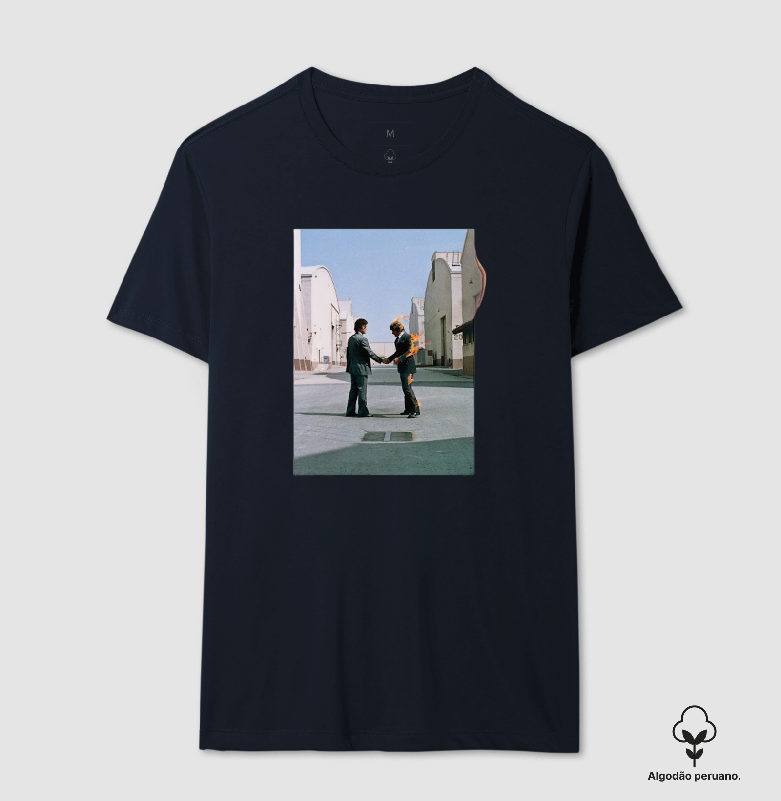 Pink Floyd - Wish You Were Here - Imagem 8