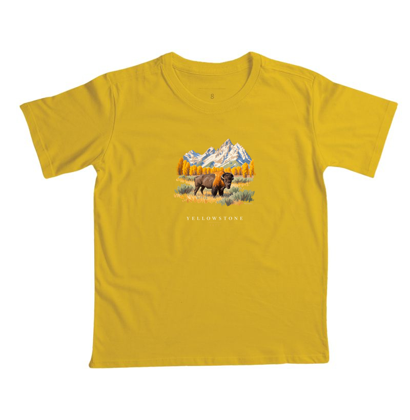Bison - Yellowstone - Imagem 7