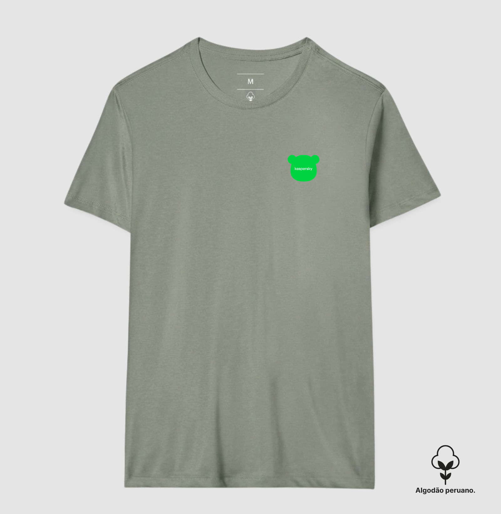 Midori com logo Kaspersky - Imagem 9