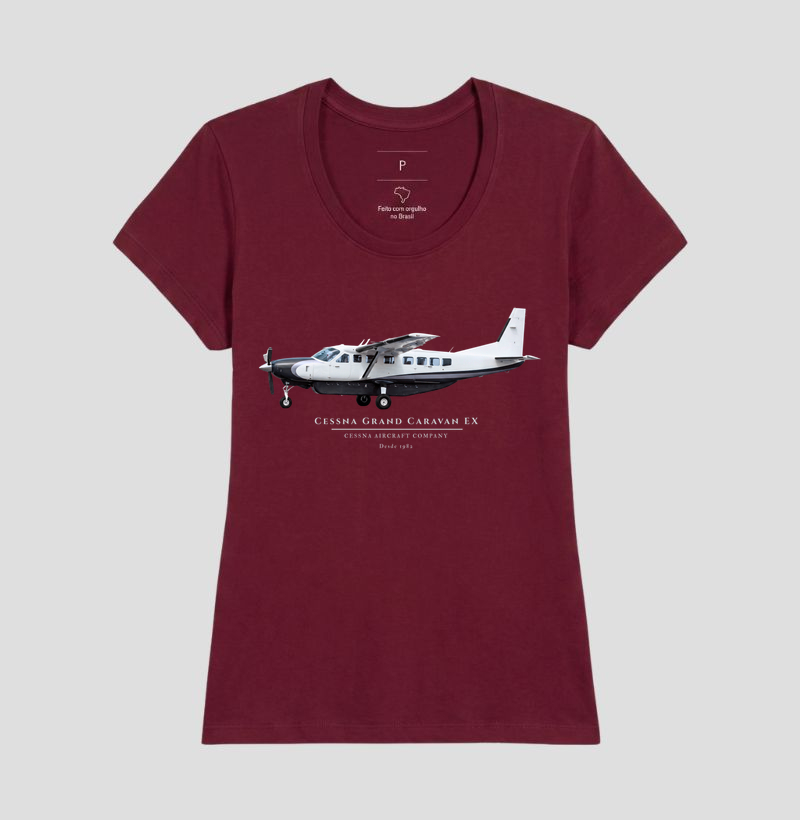 Cessna Grand Caravan EX - Imagem 17