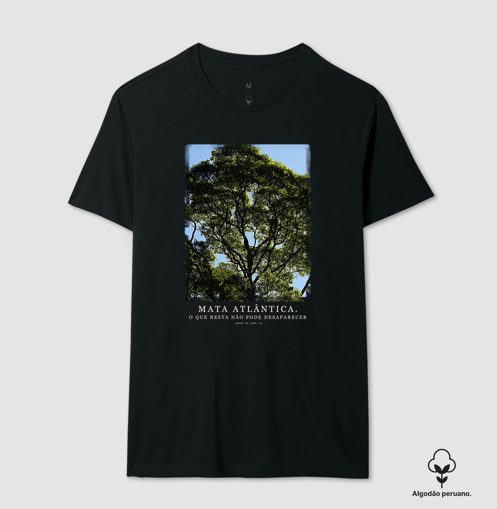 Mata Atlântica - Imagem 7