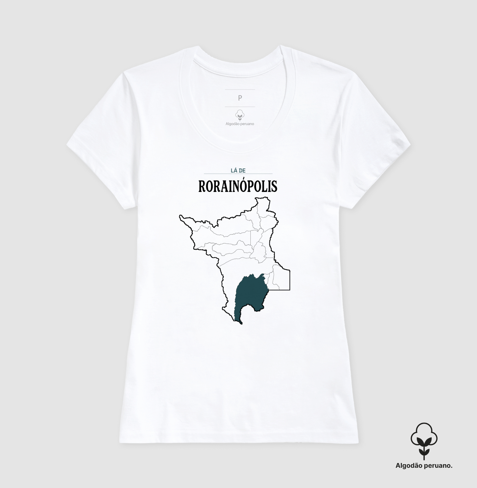 Rorainópolis | Território RR - Imagem 6