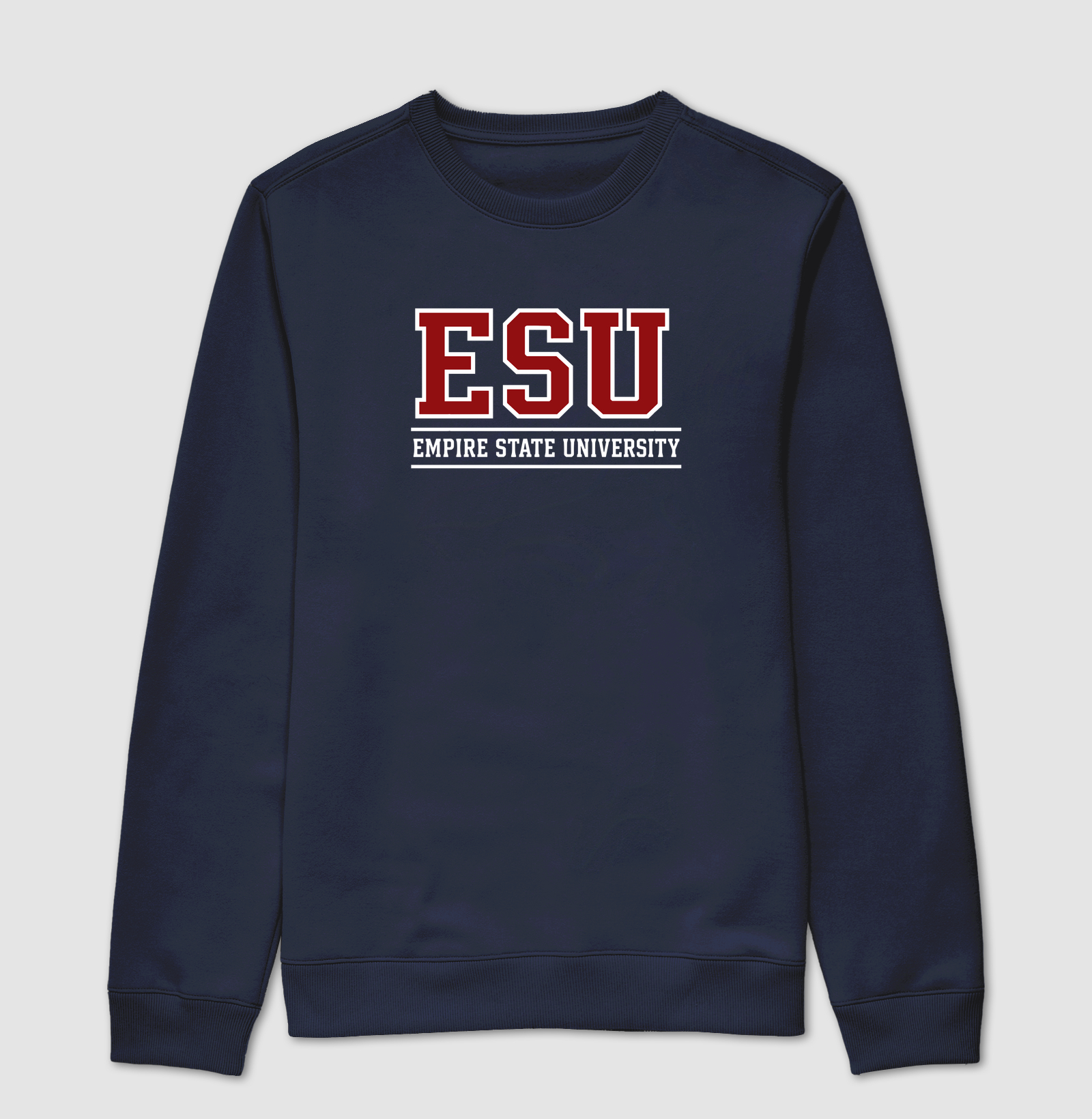 Empire State University - Imagem 4