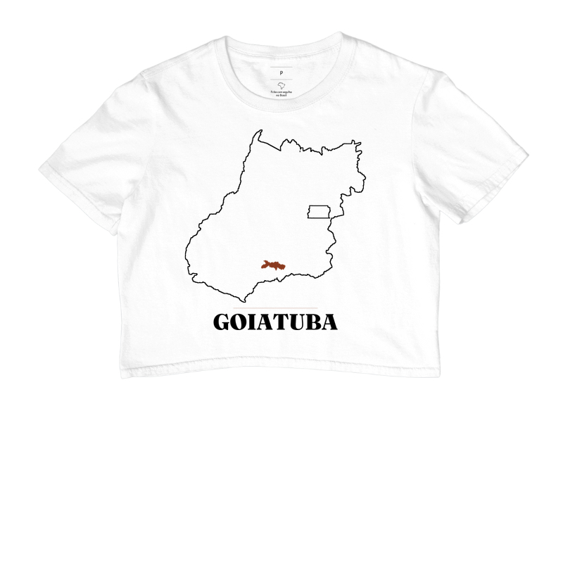 Goiatuba | Traço GO - Imagem 3