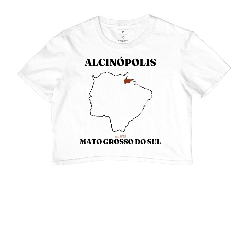 Alcinópolis | Legado MS - Imagem 3