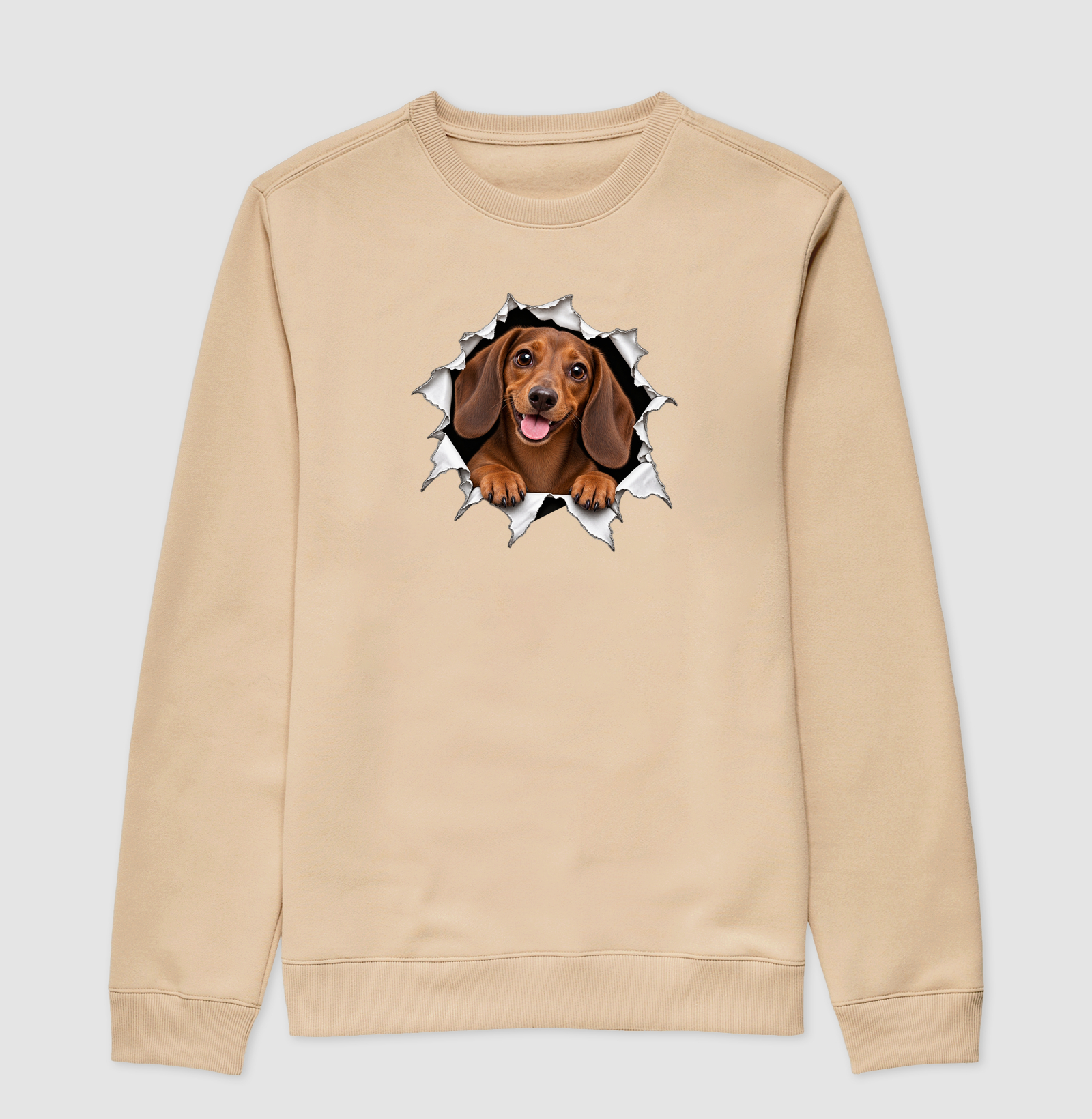 Dachshund Saindo Pelo Rasgo - Imagem 3
