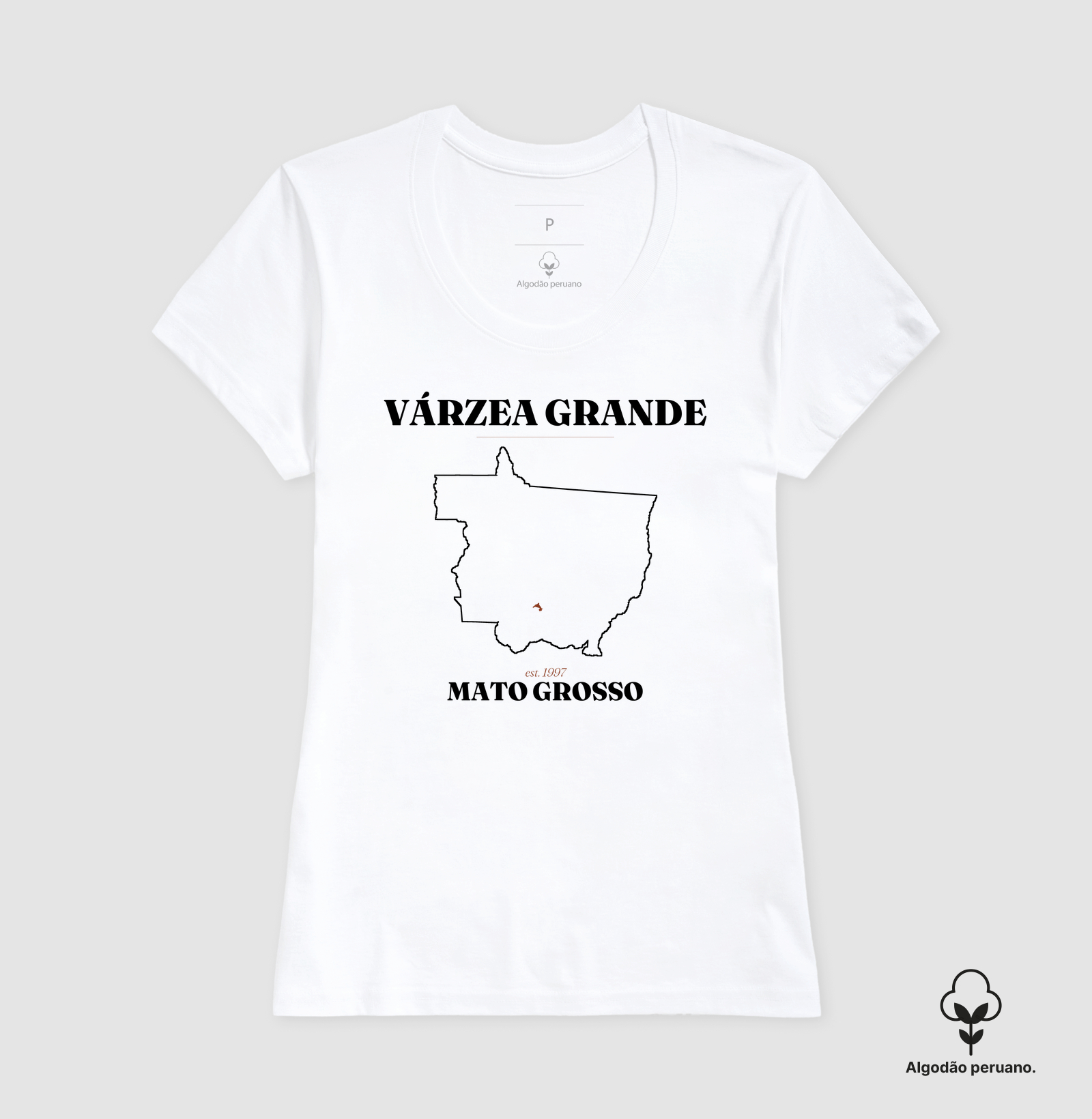 Várzea Grande | Legado MT - Imagem 7