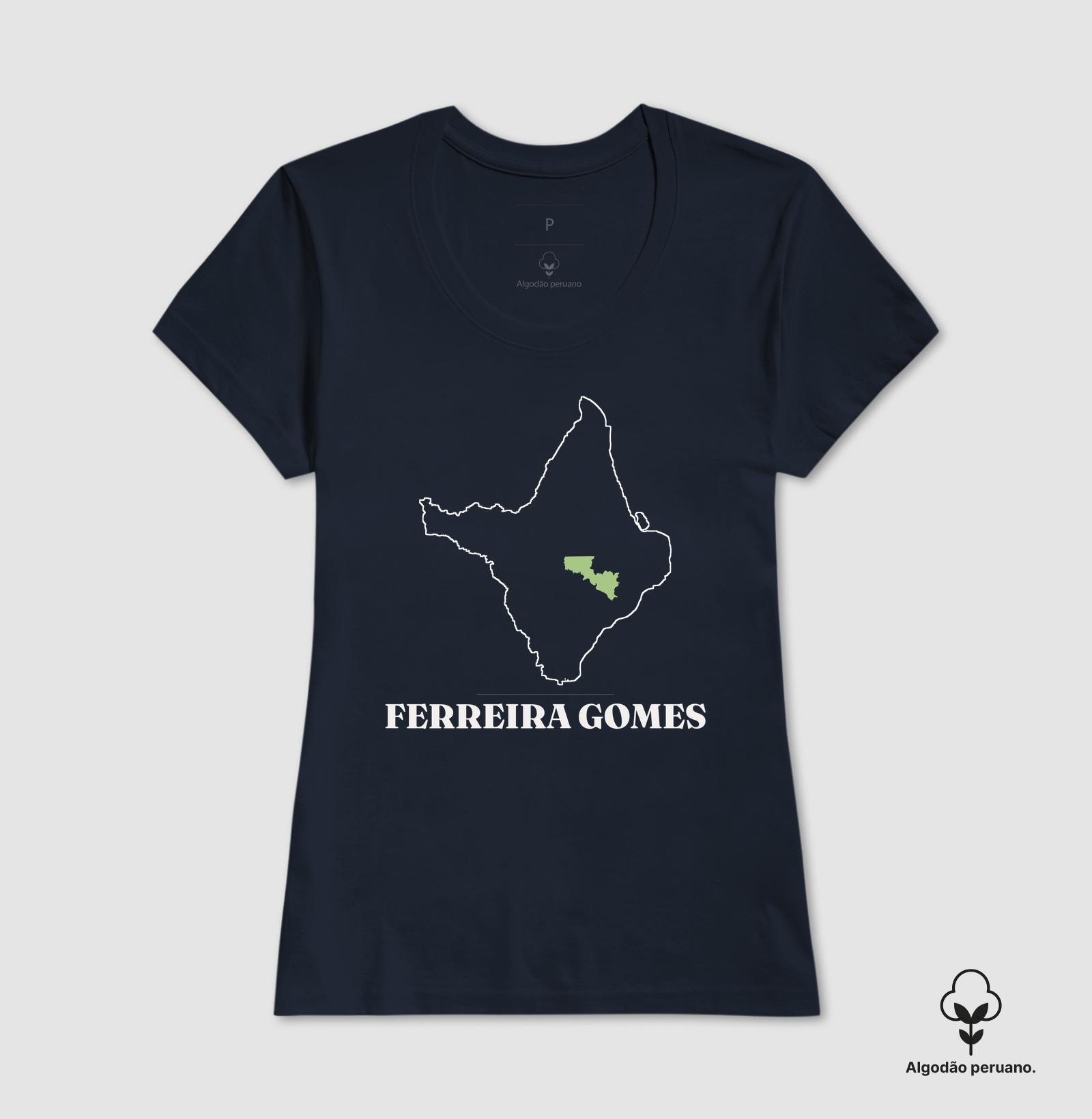 Ferreira Gomes | Traço AP - Imagem 7