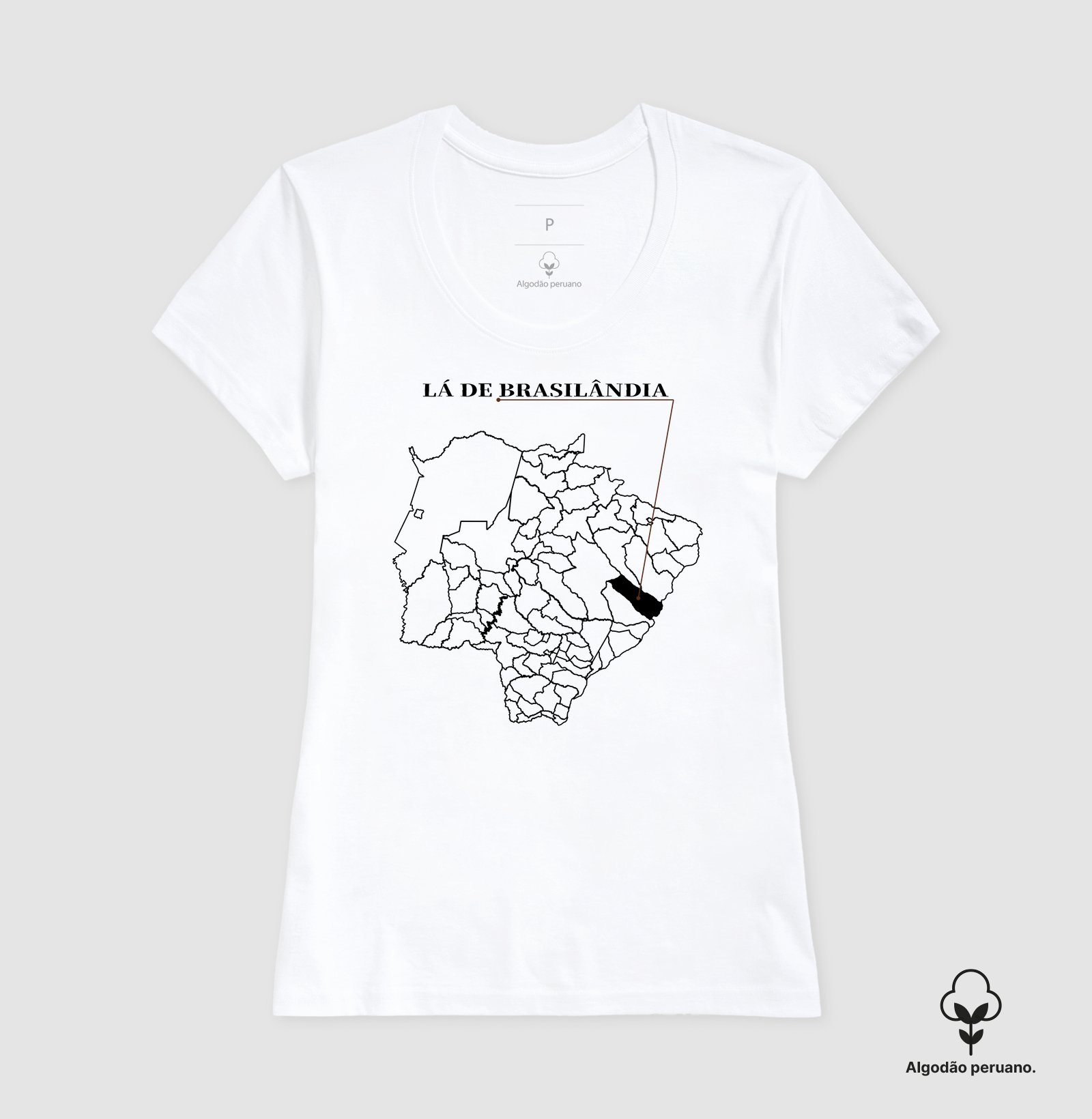 Brasilândia | Origem MS - Imagem 6