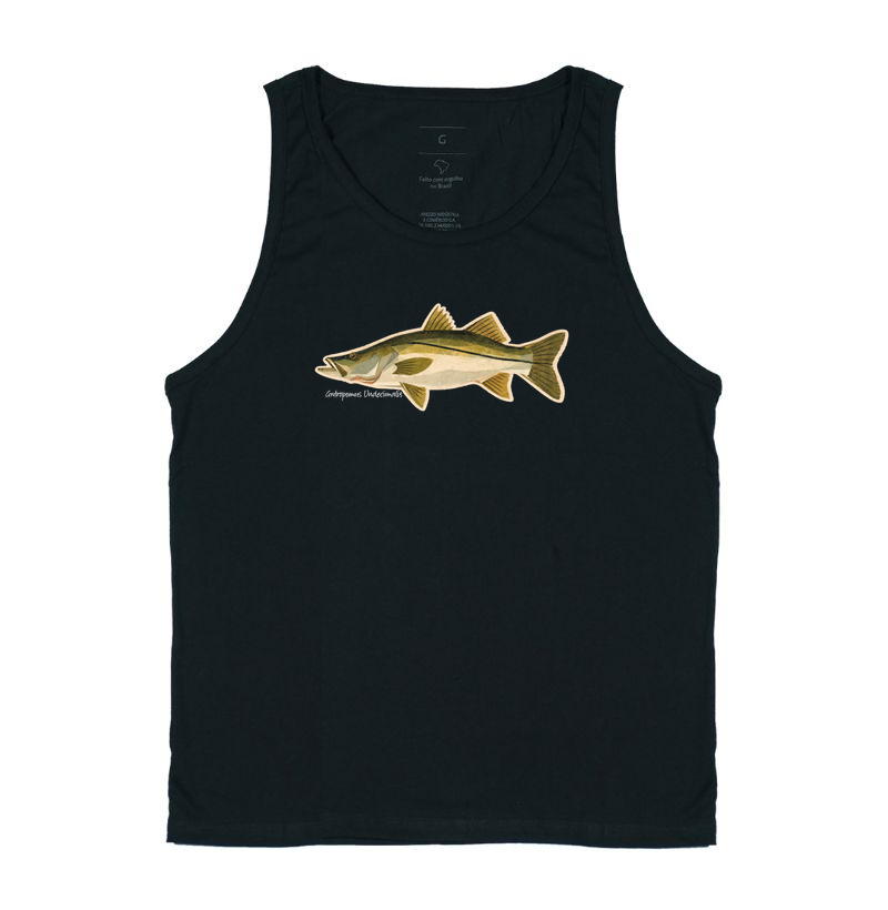 Robalo - Imagem 3