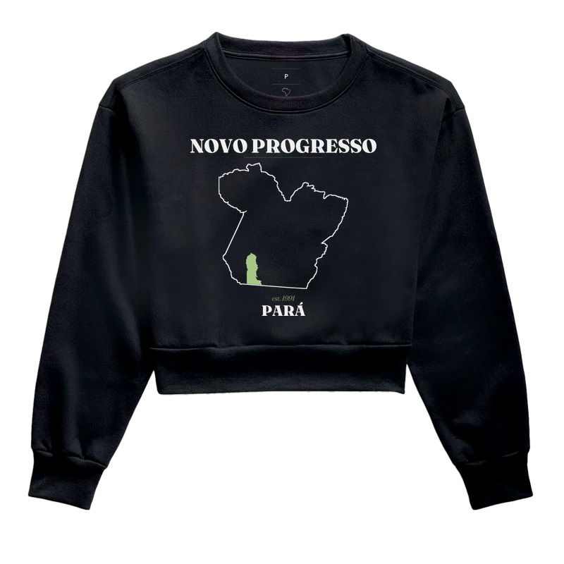 Novo Progresso | Legado PA - Imagem 2