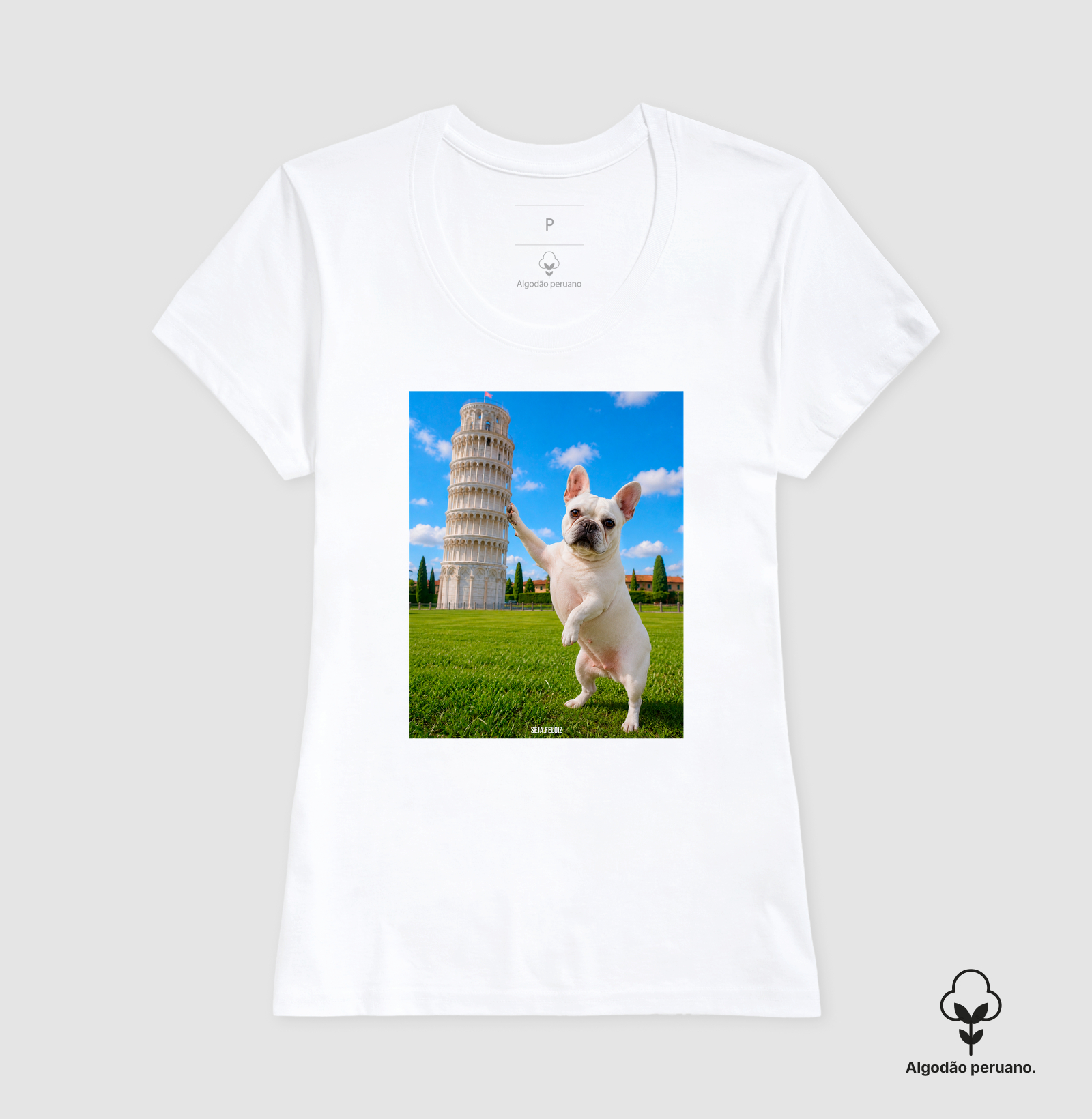 🐾 Frenchie em Pisa - Imagem 11