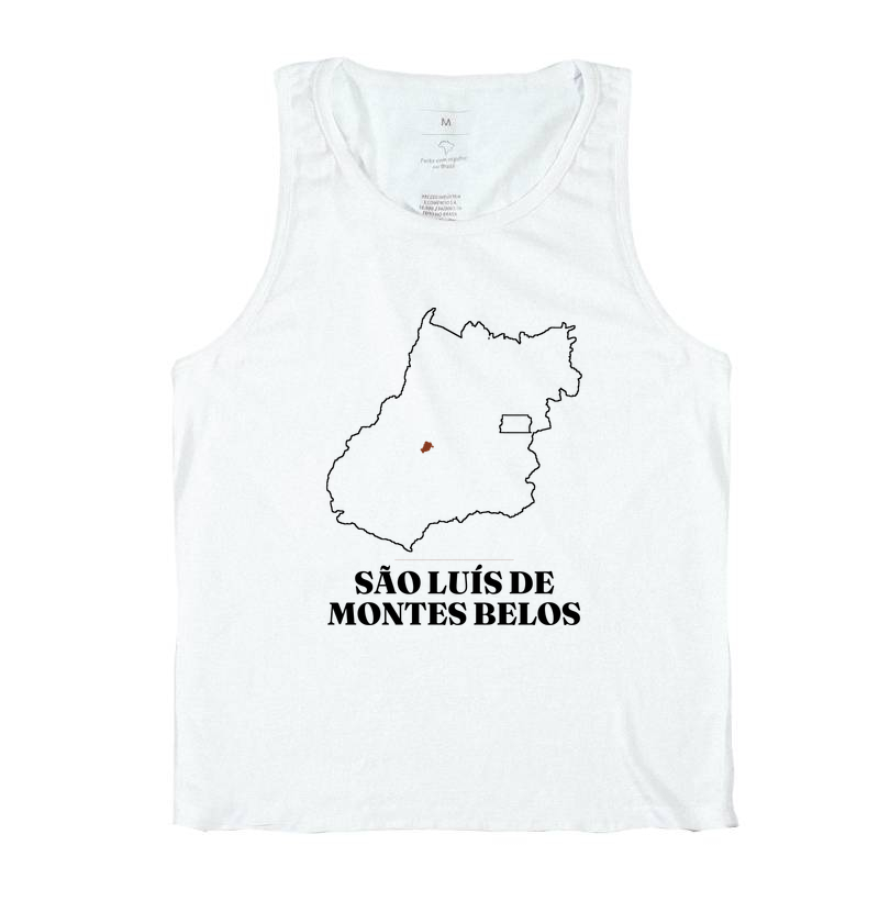 São Luís de Montes Belos | Traço GO - Imagem 2