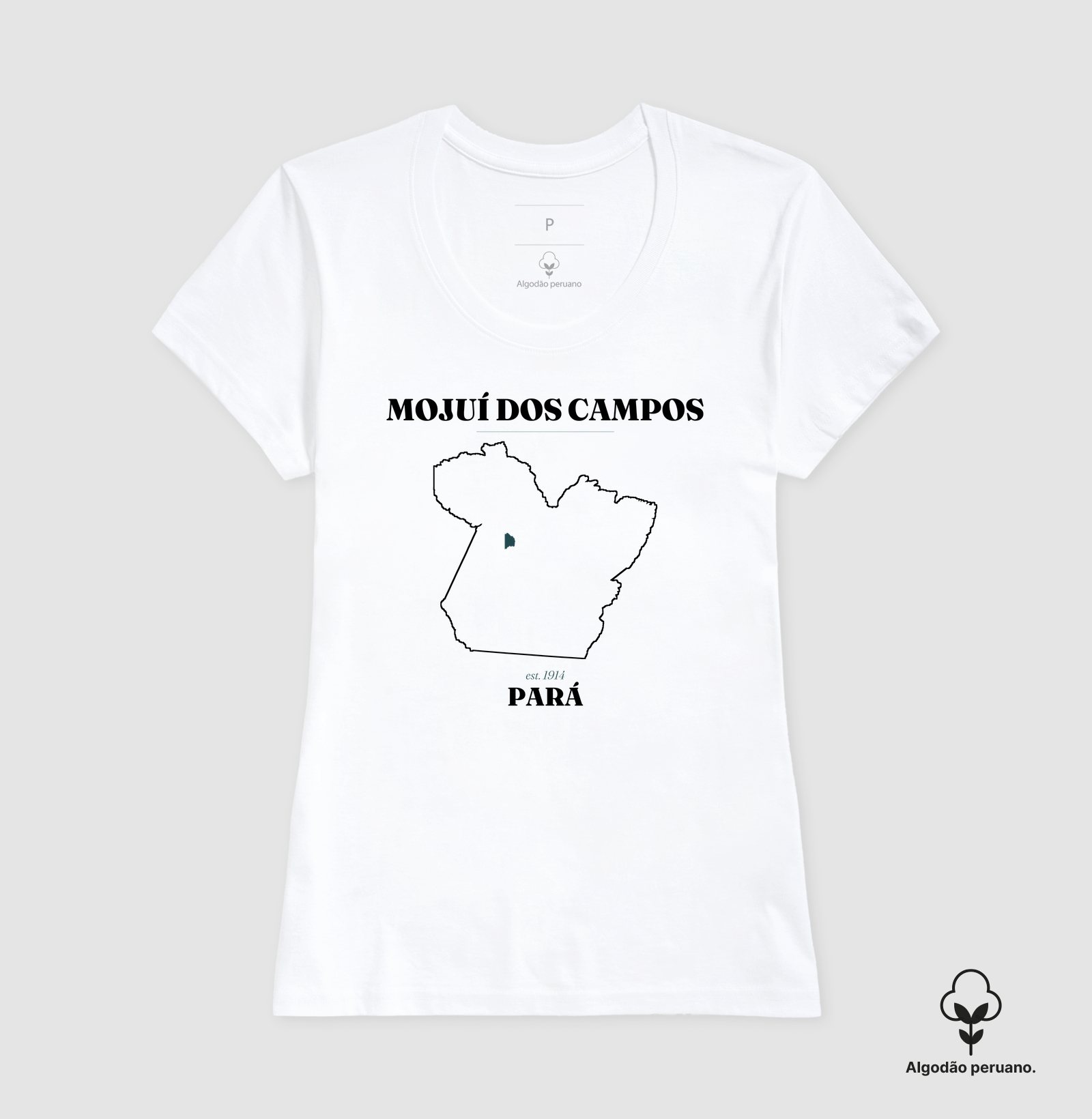 Mojuí dos Campos | Legado PA - Imagem 6